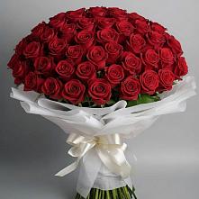 Букет 101 Красная роза Блэк Мэджик в Калиновской