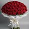 Букет 101 Красная роза Блэк Мэджик в Калиновской
