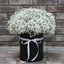 Цветочная композиция из Гипсофила в шляпной коробке в Калиновской