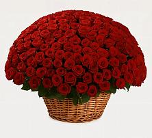 Премиум букет из: Розы #REPLACE_PRED# Калиновской